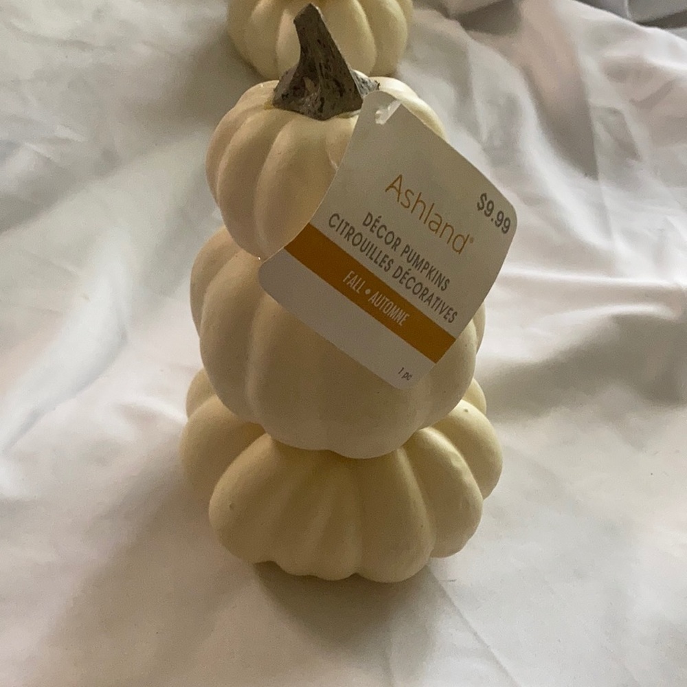 Ashland decor pumpkin fall 1 pc